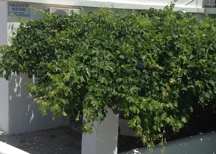 Nikoletta Gasthof 3*