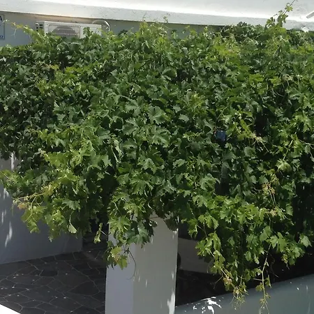 Nikoletta Πανσιόν *